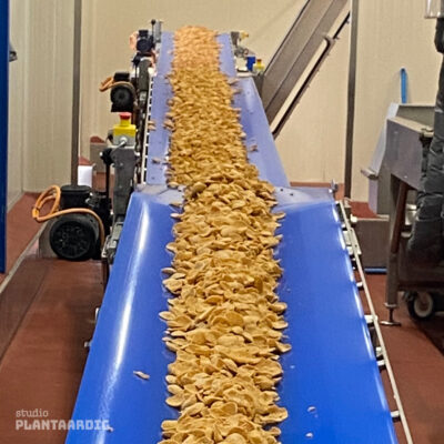 Productielijn paddenstoelen knabbels bij Vleeswarenbedrijf Wilthagen in Tholen